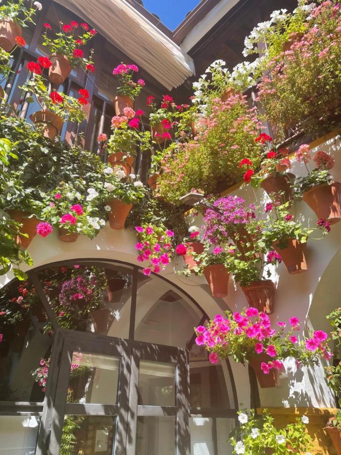 Apartament La Estrella *