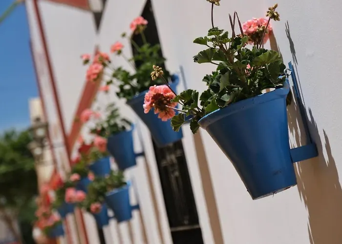 Apartamento La Estrella